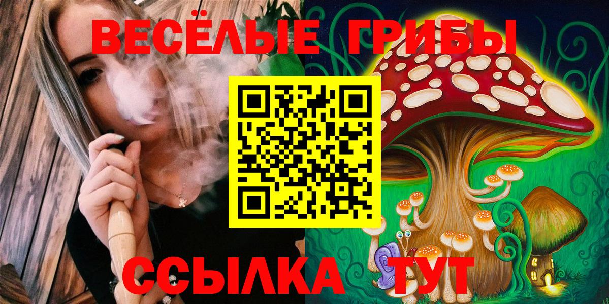 Галлюциногенные грибы мицелий Сунжа